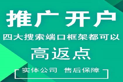 提升关键词竞价排名转化率：经典案例解析
