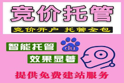 如何通过SEM提高网站流量——以某科技公司的实战案例为证